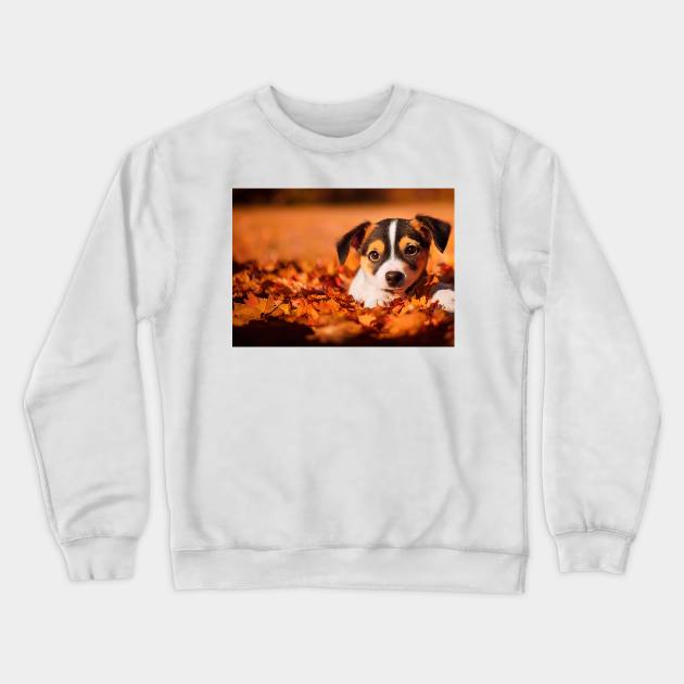 Cute dog at autumn nature Crewneck Sweatshirt by DyeruArt